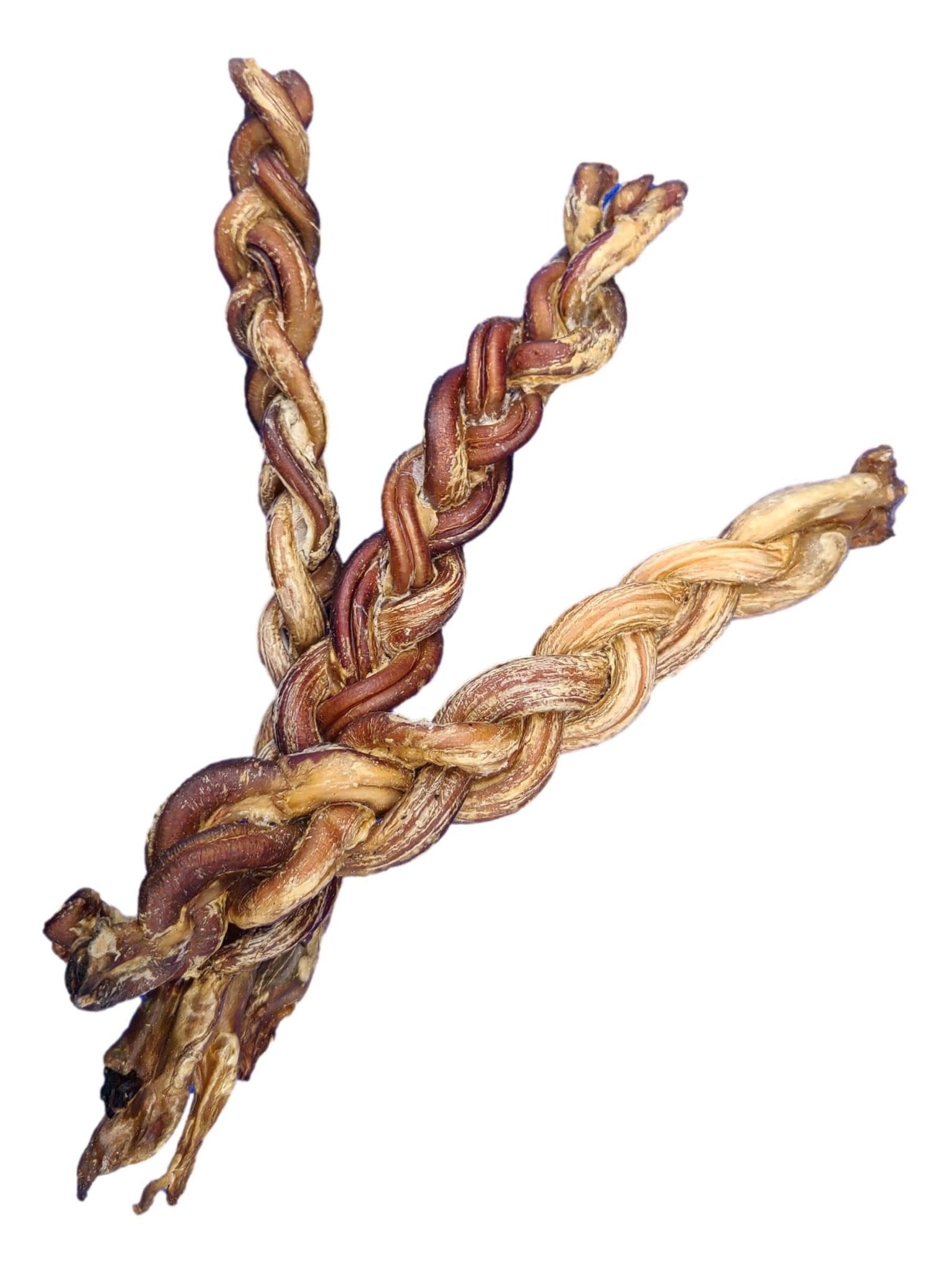 8-11" Braided Lamb Pizzle Stick