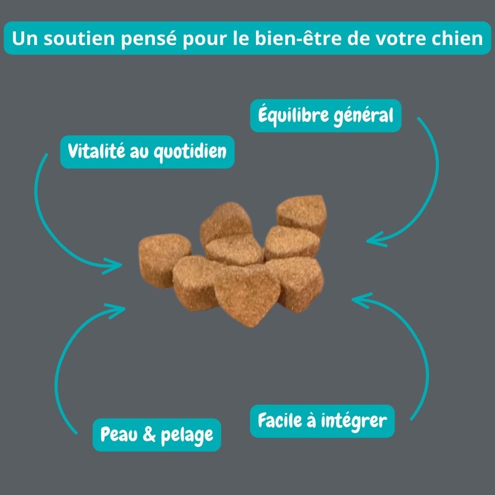 Gâterie vitamines